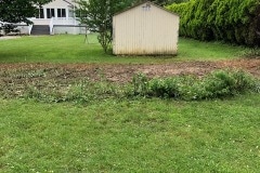 Customer 2 lawn care (before)