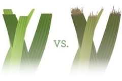 Lawn-sharp-vs-dull-blades