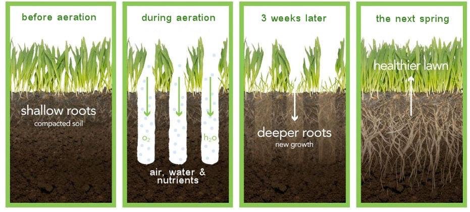 Aeration Chart