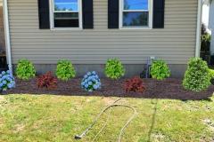 Foundation plantings (CAD)