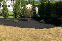 Customer 2 lawn care (after)
