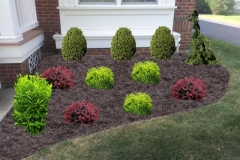 Foundation shrubs (CAD)